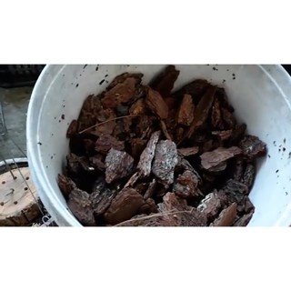 Tinh vôi 98 – siêu sát khuẩn (gói=1kg)