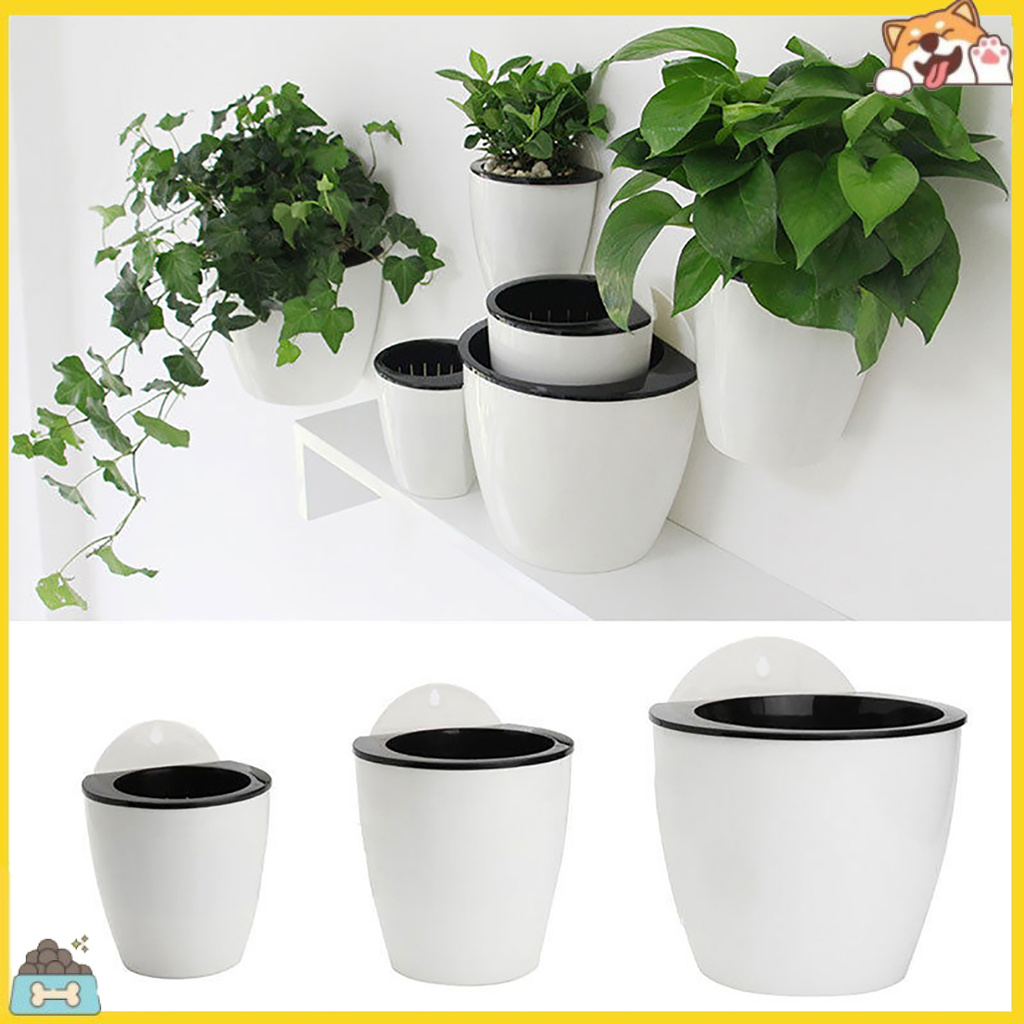 Chậu hoa thấm hút nước treo tường sáng tạo