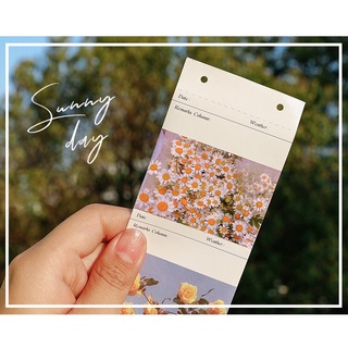 Set 32 sticker ghi nhật ký