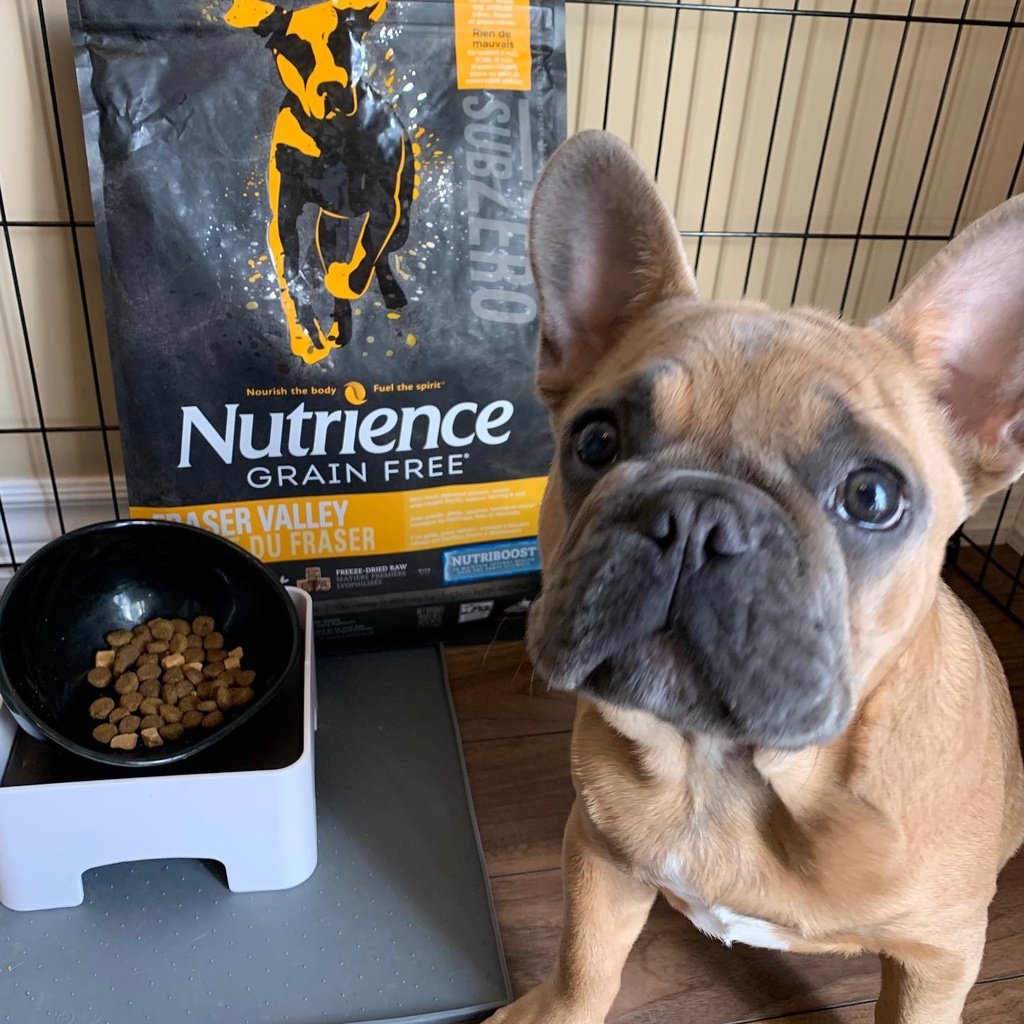 Thức Ăn Hạt Cho Chó Phốc - (Mượt Lông) Nutrience Subzero Bao 5kg - 4 Loại Thịt (Gà Tây, Cá Hồi,...) Rau Củ, Trái Cây