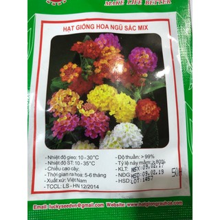 HẠT GIỐNG HOA NGŨ SẮC MIX NHẬP KHẨU.