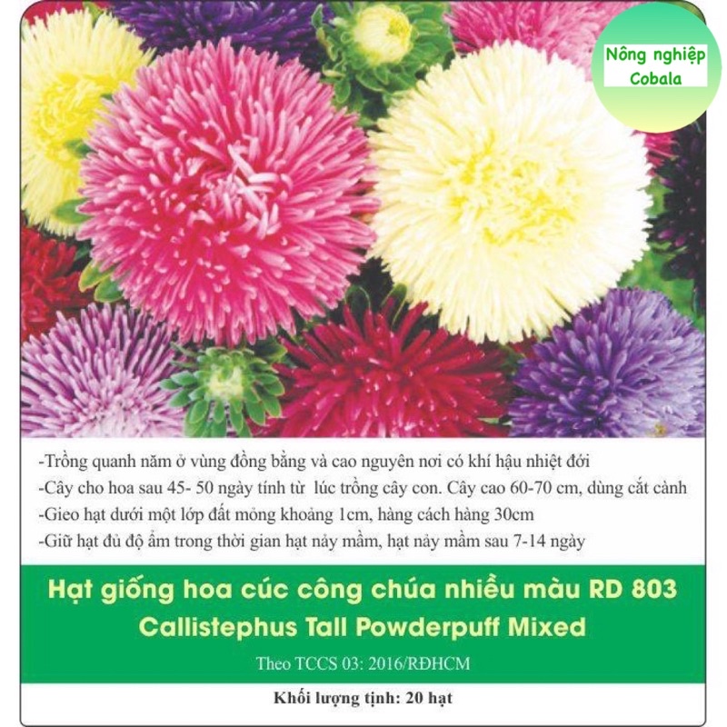 Hạt Giống Hoa Cúc Công Chúa Nhiều Màu Gói 0.1gr