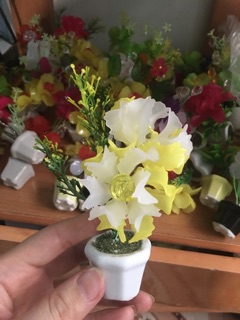10 chậu hoa đá pha lê