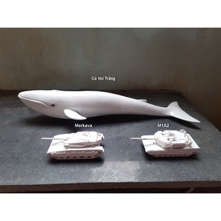 Cá Voi Trắng 45cm