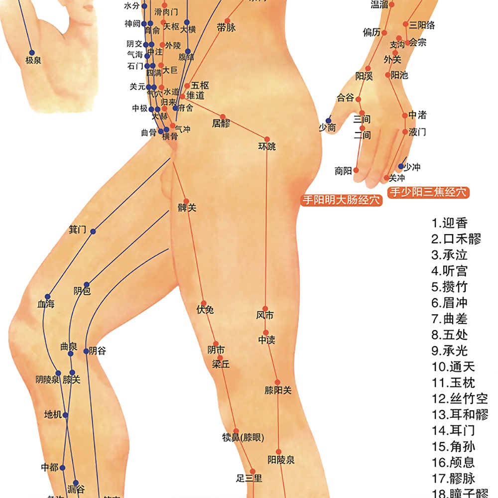 Sơ đồ Cofoe mô tả kinh tuyến và huyệt đạo cơ thể con người