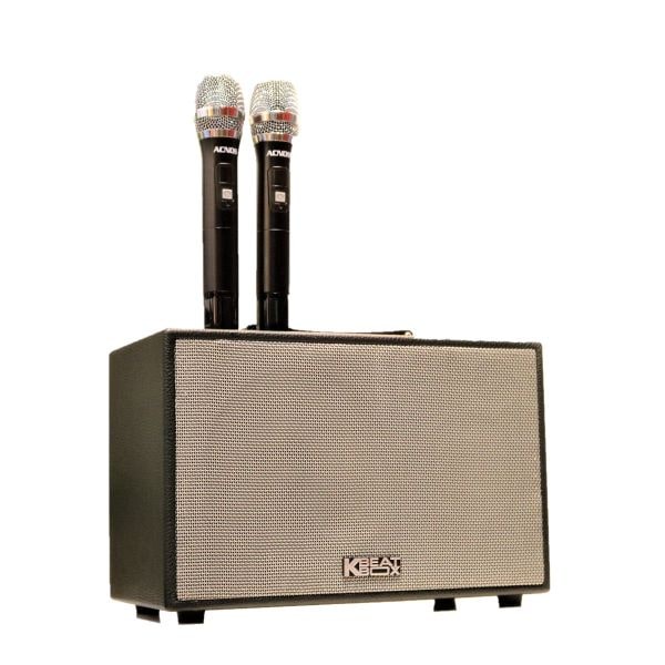 Loa Karaoke mini ACNOS CS250PU - ACNOS CS200PU
