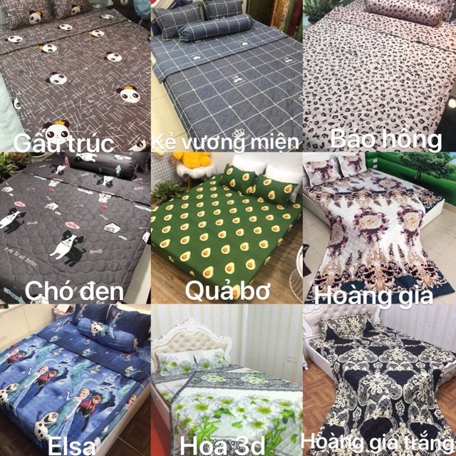 Set ga gối chăn hè Cotton poly 5 món mới nhất. Được chọn mẫu