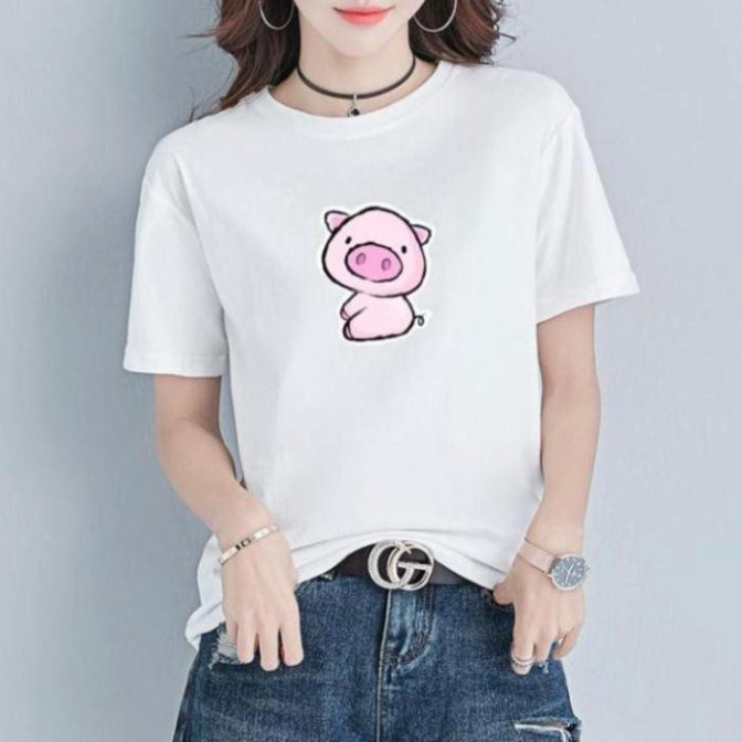 Áo hàn quốc- Bộ sưu tập áo thun 12 con giáp cực cute, áo thun unisex, áo thun nữ tay ngắn, màu trắng - BST 01