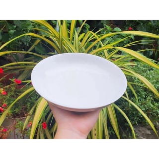 Combo 5 Dĩa vân ảo sứ trắng 8inch