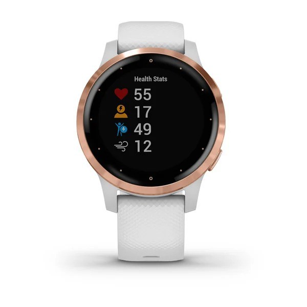 Đồng hồ thông minh Garmin Vivoactive 4S - Hàng chính hãng FPT