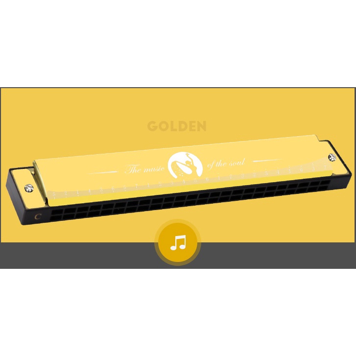 Kèn Harmonica CAO CẤP 24 lỗ thương hiệu Chi Mei – có Hướng dẫn tự học