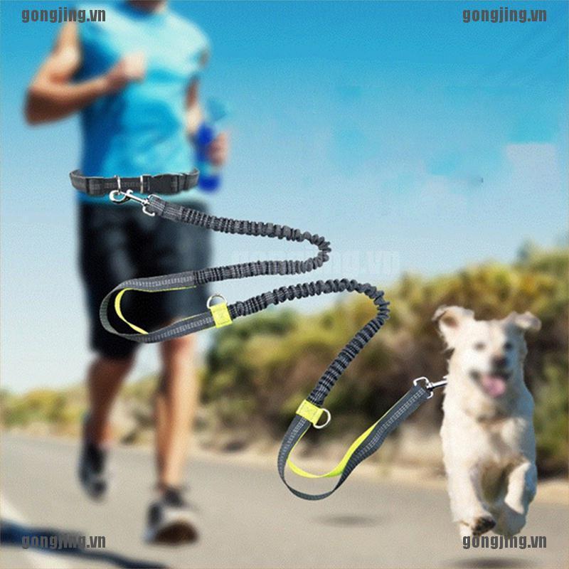 GONJ Pet Dog Running Belt Elastic Leash Traction Rope Jogging Pull Dog Leash