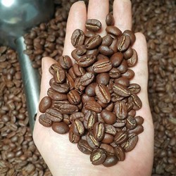 Cà phê cao cấp dùng pha cà phê sữa - Blend Robusta, Culi, Arabica 500 gr - Moka cafe