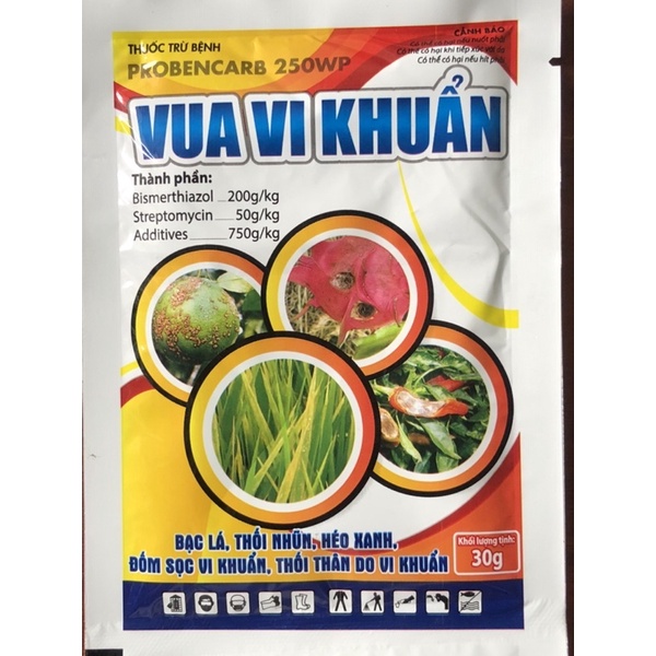 VUA VI KHUẨN đặc trị bạc lá,thối nhũn,héo xanh,thối thân