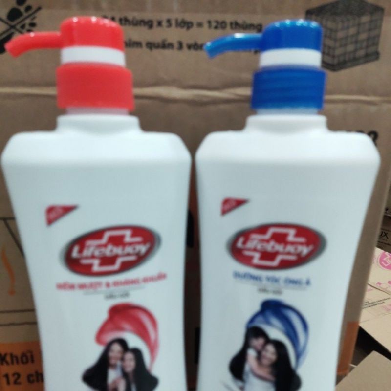 Dầu gội đầu Lifebuoy 640g