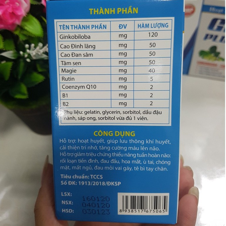 Hoạt huyết dưỡng GINKO PLUS lưu thông khí huyết cải thiện trí nhớ, tăng cường máu lên não, hộp 100 viên