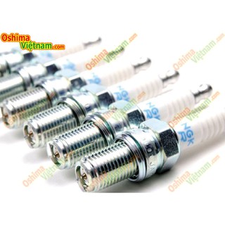 Máy xịt thuốc trừ sâu Oshima gx25