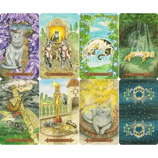 Bài Mystical Cats Tarot