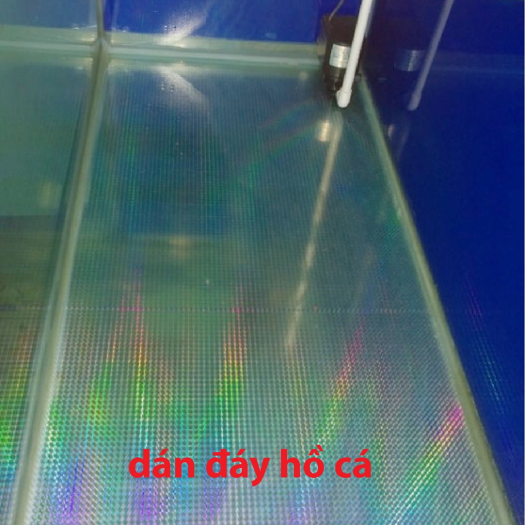 Decal 7 màu - Chuyên dùng dán đáy hồ show cá, hồ cá cảnh, trang trí, dán đồ handmade.. Khổ 60cmx 100cm
