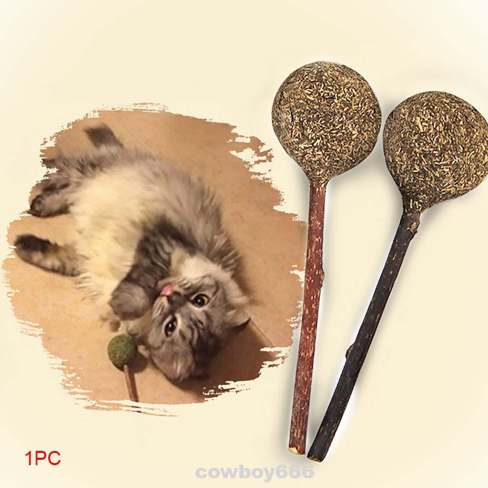 Que Catnip Làm Sạch Răng Cho Mèo