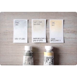 [Nội địa Hàn] Màu nước Shinhan Swc