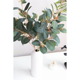 Cây lá giả - Nhành lá bạch đàn nổi bật màu sắc lạ