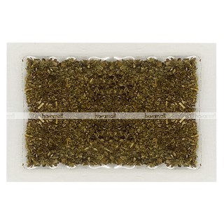 [DATE MỚI NHẤT] Lá Xô Thơm – Sage Leaf Ground