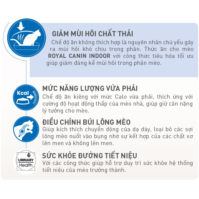 [Mã PET50 giảm 10% - tối đa 50K đơn 250K] [ CHÍNH HÃNG ] INDOOR 2KG Royal Canin Cho Mèo Trưỡng Thành Siêu Dinh Dưỡng