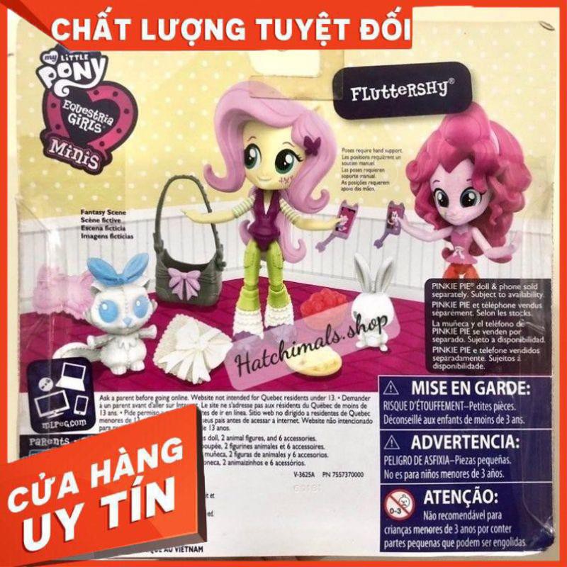 Hộp Bộ búp bê Pony và các phụ kiện