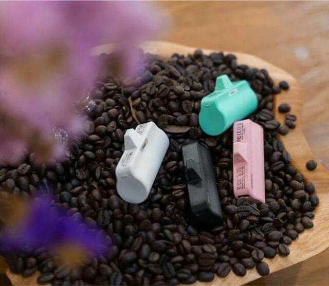 Sạc dự phòng IWALK