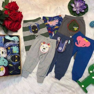 Quần Mông Thú Cotton