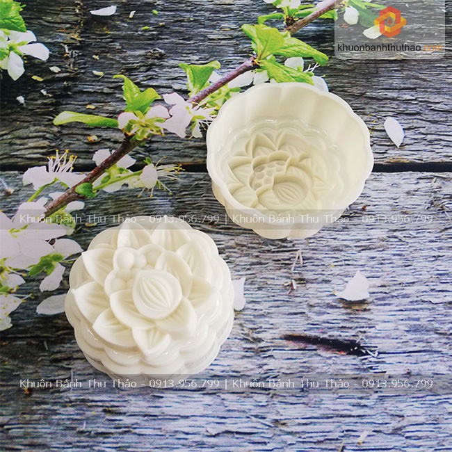 Khuôn bánh trung thu rau câu hoa sen nhụy RT31
