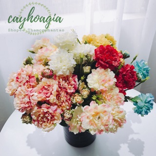 Hoa Giả - Cúc Vạn Thọ Siêu Đẹp