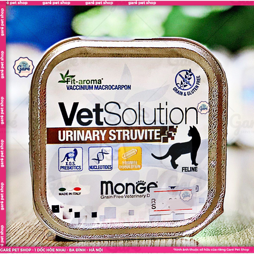 100g - Pate hỗ trợ phục hồi Monge Vet Solution dành cho Mèo - Monge Vet Solution for Cats