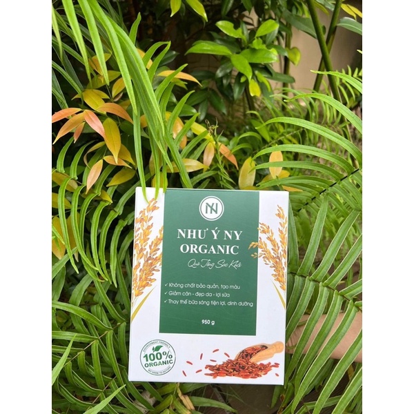 BỘT GẠO LỨT GIẢM CÂN ORGANIC NHƯ Ý NY Chính Hãng