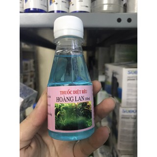 Diệt Rêu Hoàng Lan - Diệt Sạch Rêu Bể Cá