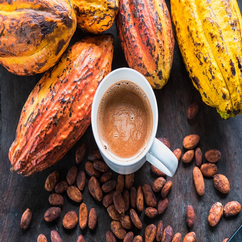 Bột Cacao Nguyên Chất Không Đường Cacao Daklak Vị Truyền Thống Đậm Vị Chân Thật Ong Vàng Shop