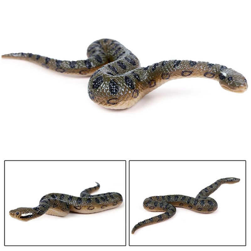 Mô Hình Rắn Anaconda 5in Dùng Làm Đạo Cụ Ảo Thuật