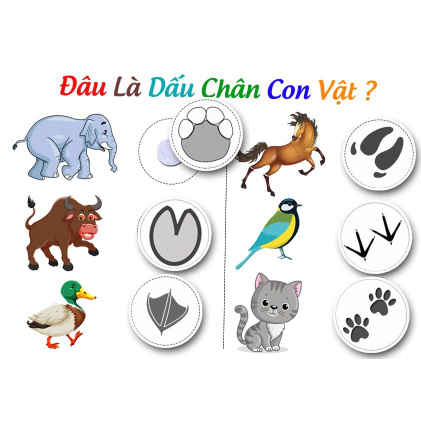 [ Montessori ] Tư Duy Logic F12- Học Liệu Dính Dán - Matching Book (Monsi Edu)