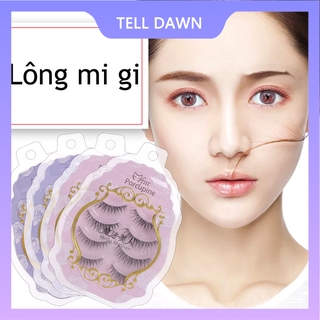 (Hàng Mới Về) Set 4 Cặp Lông Mi Giả Trong Suốt Trang Điểm Tự Nhiên