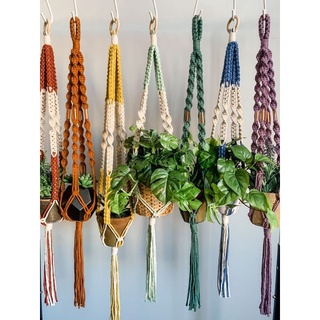 Treo cây macrame - treo cây màu sắc xinh xắn - hải tặc art shop - chậu cây trang trí decor góc nhỏ, vườn, phòng ngủ