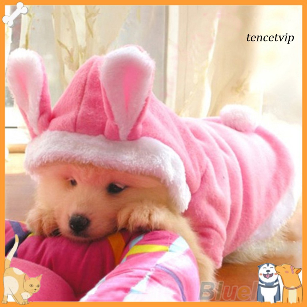 Áo hoodie hình thỏ xinh xắn thời trang dành cho thú cưng