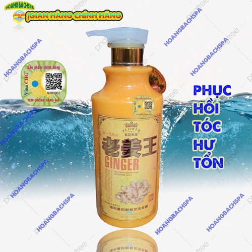 Dầu gội tinh chất gừng