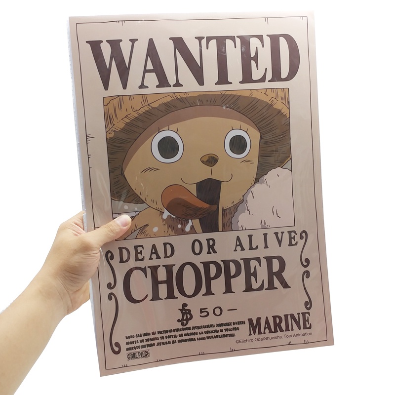 Poster One Piece - Lệnh Truy Nã Chopper - TeenBox