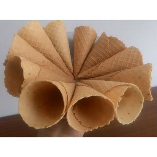 Vỏ ốc quế to Trần Trân