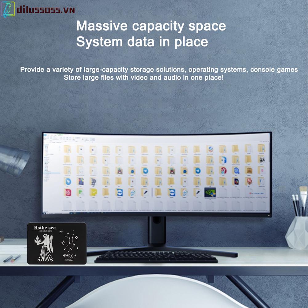 Ổ Cứng Dilussoss 2.5 Sata Iii Ssd Cho Máy Tính | BigBuy360 - bigbuy360.vn