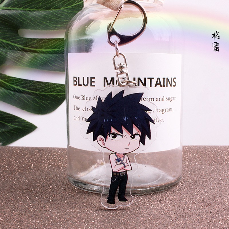 Móc Chìa Khóa Treo Tường Bằng Acrylic Họa Tiết Anime Fairy Tail Naz