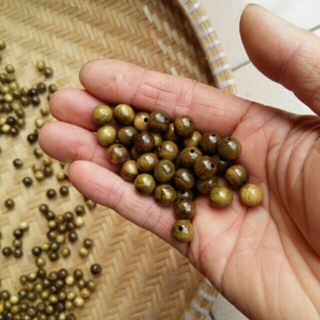 Hạt dau tam 10li cho mọi người