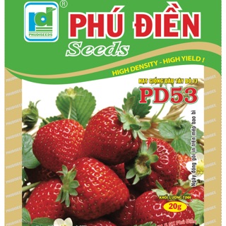 Hạt giống dâu tây đỏ F1