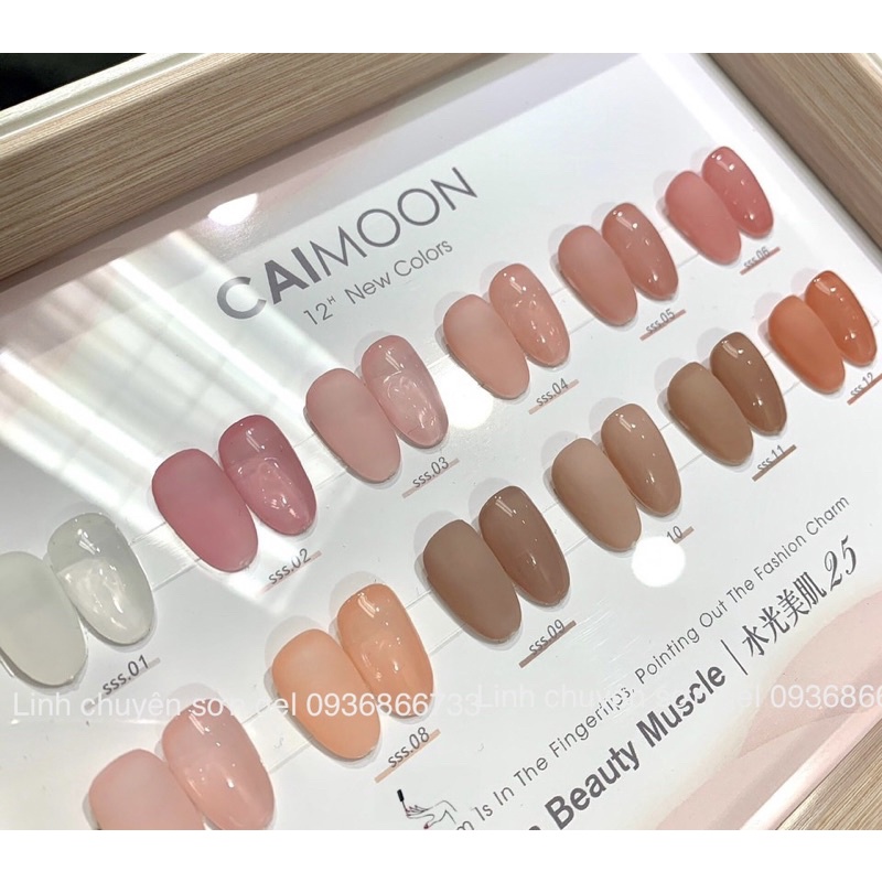 Set Sơn Gel Thạch 12 màu - kèm bảng màu